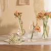 Hydroponic Nordic Creative Container Plant Bottle Glass Vases Flower Pot Table Vase