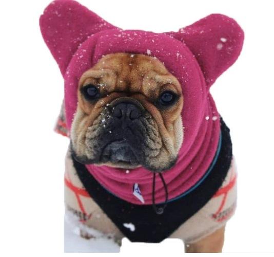 Dog Casual Warm Color Pet Cute Hat