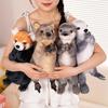 Cute Raccoon and Otter Plush Toy Set - Kangaroo Style Children's Birthday Gift