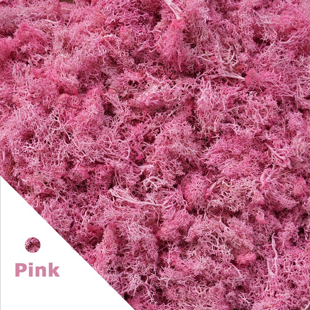 20/40/100 г Мох Вечная Жизнь Поделки Трава Искусственные Зеленые Растения Декор Комнаты Дома Сада Мини-Пейзаж Искусственная Трава Бонсай