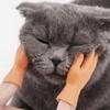 Yousheng 4/6 Pack Finger Puppets Сгибаемые милые мини-руки-марионетки Реалистичный внешний вид Устойчивые к разрывам Безопасные забавные жесты Маленькие ручки-игрушки для домашних животных