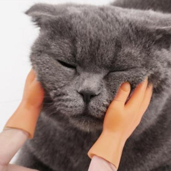 Yousheng 4/6 Pack Finger Puppets Сгибаемые милые мини-руки-марионетки Реалистичный внешний вид Устойчивые к разрывам Безопасные забавные жесты Маленькие ручки-игрушки для домашних животных