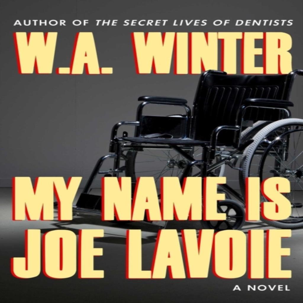 My Name is Joe LaVoie by W.A. Winter Paperback Book 9781645060536