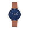 Skagen RIIS SKW6885 Men's Brown Watch