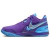 Кроссовки унисекс LeBron NXXT Gen AMPD Summit Lake Hornets Purple Field-Purple Metallic-Silver FJ1566-500