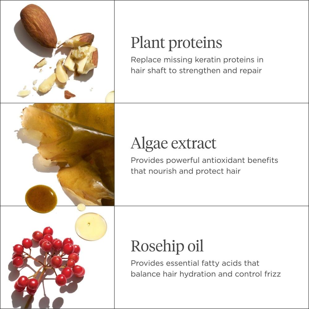 Briogeo Don T Despair Repair Суперувлажняющий шампунь для поврежденных волос 16,0 унций