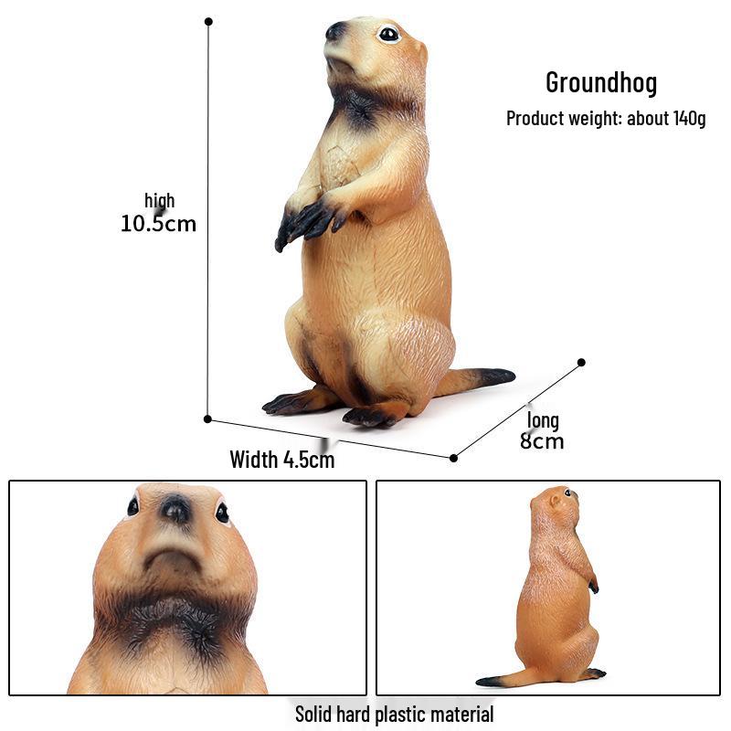 Children's Cognitive Rodent Simulation Toy: Chipmunk, Marmot, Squirrel, Guinea Pig Models