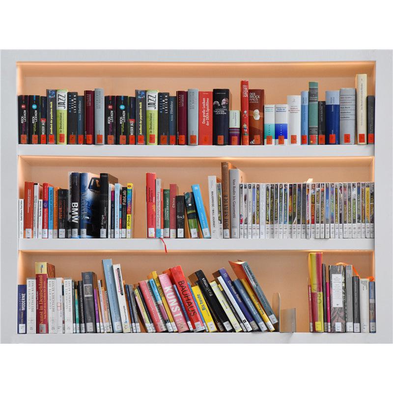 Фон для стримера Douyin в высоком разрешении: Книжная полка Офисный декор