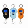 Fishing Scale Multifunction Scales Electronic Scale Luggage Scale Travel Digital Hanging Scales