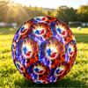 France Football Напечатанный Размер 5 Футбольный Мяч Износостойкий Стандартный Тренировочный Мяч для Взрослых Подарок для Фанатов для Матчей в Помещении и на Открытом Воздухе Спортивный