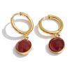 Yhpup Stainless Steel Tiger Natural Stone Red Agate Round Drop Charm Earrings France High Quality Classic Chic Fashion Jewelry