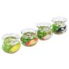 4pcs 1:12 Scale Miniature Glass Goldfish Bowl DIY Fish Bowl Glass Fish Tank Dollhouse