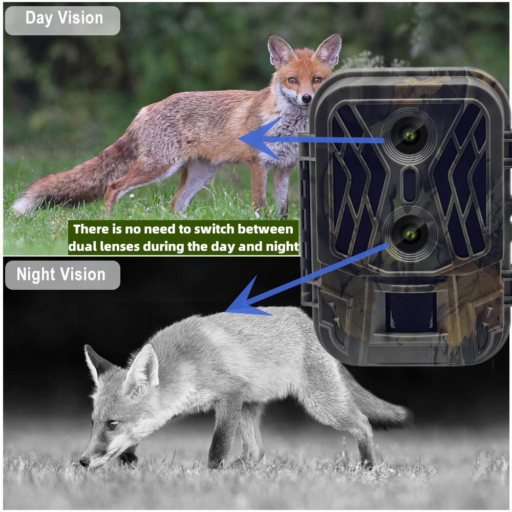 Hc-950a Охотничья камера с двумя объективами 50MP + 4K Hd Pos и ​​видео Инфракрасная камера ночного видения для наблюдения за дикой природой Мини-камера