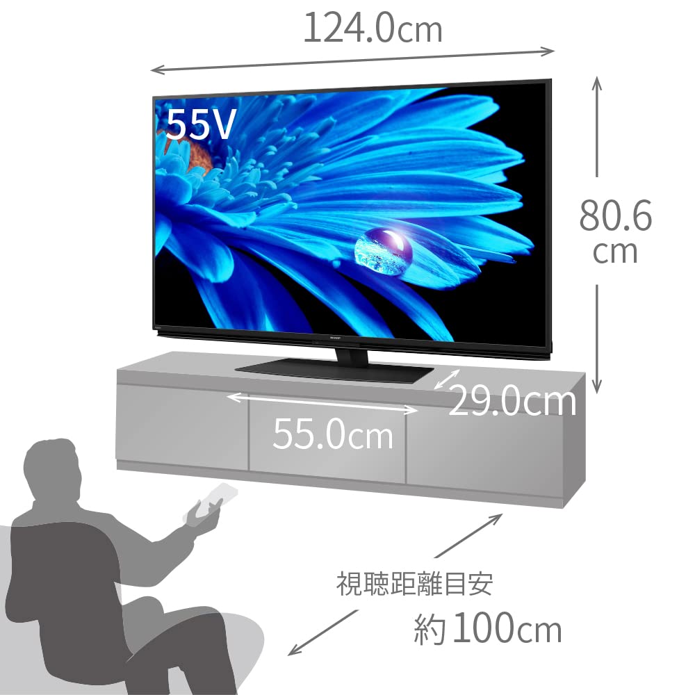 Sharp 55V 4K LCD TV AQUOS Панель Двухскоростной LCD Google TV 4T-C55EN1 N-Черный (Модель 2022 года)