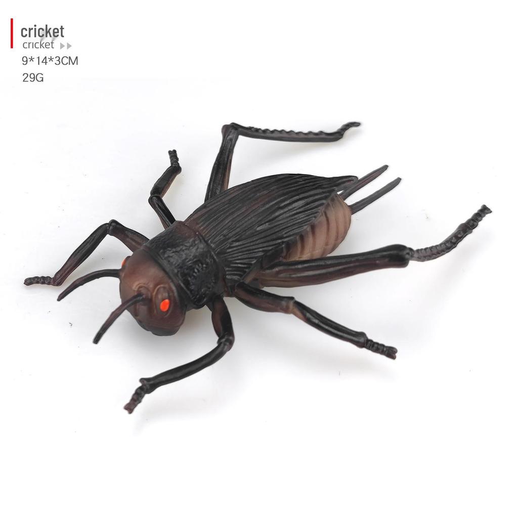Children's Educational Insect Model Toys: Butterfly, Ladybug, Beetle, Bee, and Grasshopper