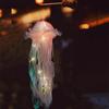 Gift Handmade Room Jellyfish Lamp DIY Night Lamp Party Decoration
