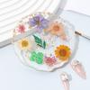 Handmade Resin Coaster Dried Flowers Cup Mat Heat-Resistant Clear Waterproof Table