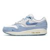 Nike Кроссовки Air Max 1 Premium 'Air Max Day Blueprint' Повседневная обувь DR0448-100