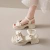 Fairy Style Thick Soled Sandals for Women Wearing Summer  New Thick Heels with Fashionable Beach Shoes