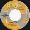 7-дюймовая пластинка GENERAL DEGREE / CHICO - Immaculate / More Strength NONE B-Rich Records Ямайка Регги, Ска и Даб Б/у