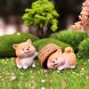 Sweet Akita Puppy Resin Miniature Diy Decor Cute Accessories For Car And Home Decoration