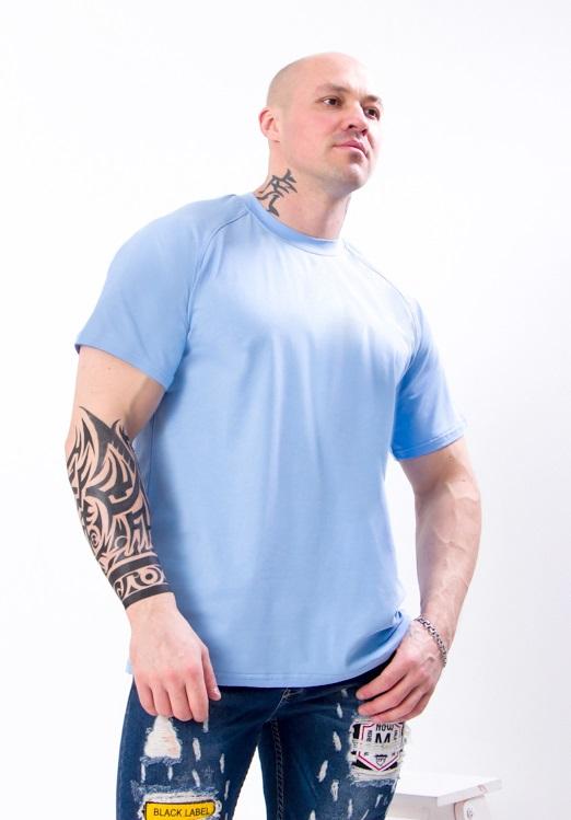 Футболка (Мужской) Лето 8011-036 HC