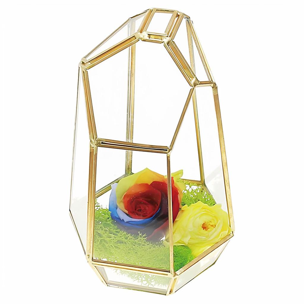 Retro Geometric Glass Dome Greenhouse: Creative Micro Landscape Decorative Vase for Home and Coffee Shop.