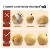 Fang Jiapuizi 6A Grade Dried Longan
