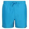 Regatta Mens Mawson II Swim Shorts