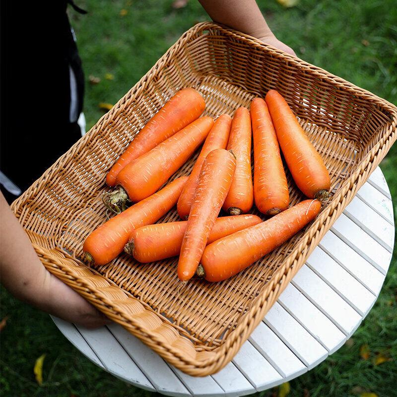 Imitation Rattan Plastic Storage Basket