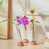 Test Tube Vase Glass Hydroponic Vase with Wooden Stand Desktop Transparent Tube Vase for Plants And Cut Flowers Flower Arrangement