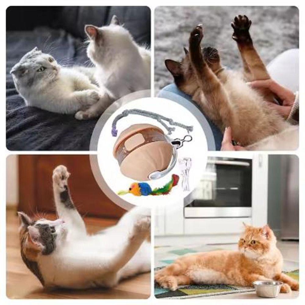 USB Rechargeable Infrared Automatic Rolling Ball Detachable Cord Smart Rolling Cat Toys  Indoor