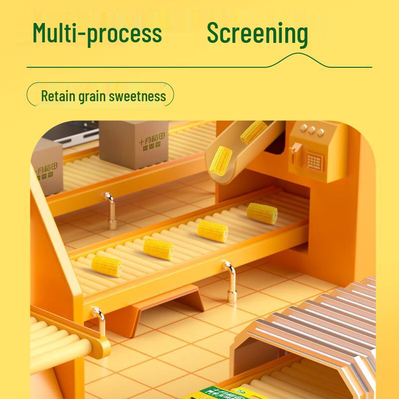 Shiyue Daotian Yellow Waxy Corn Segments