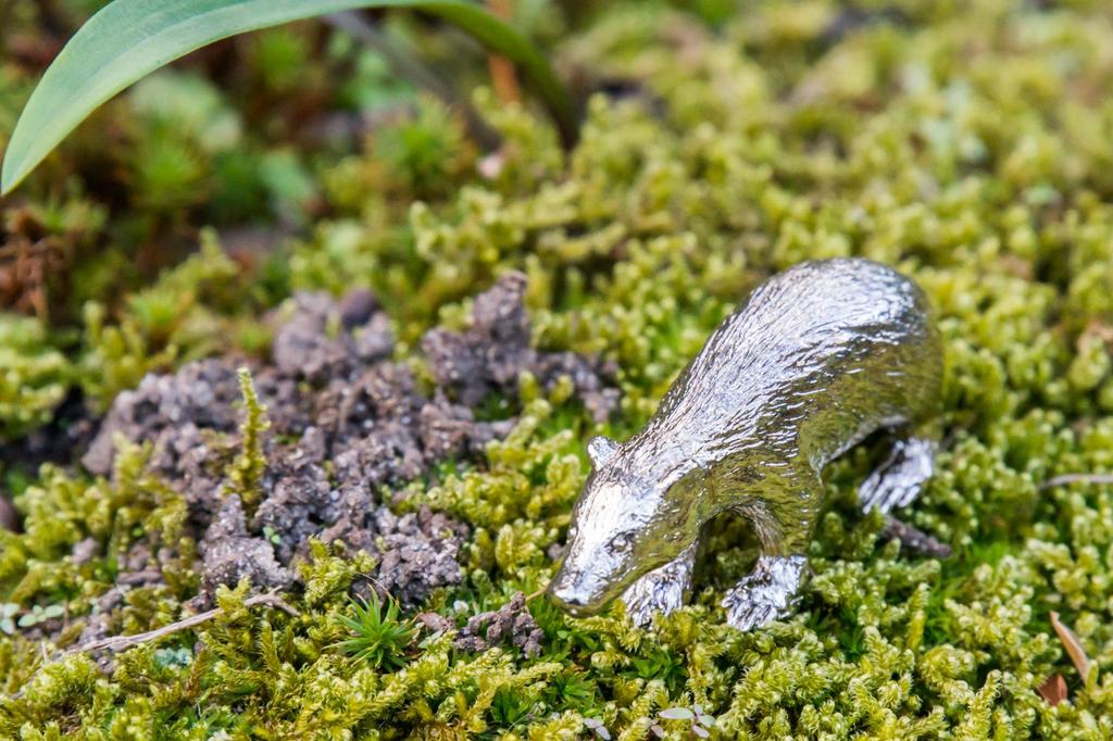 Badger British Animal Art Figure Collection