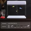 All-in-One Glass Aquarium Filter & Oxygenator - Small Eco-Friendly Desktop Tank 2025.