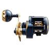 Daiwa 21 Салтига ИК 100
