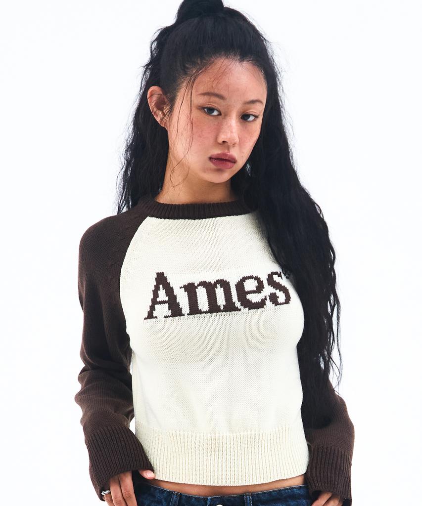 AMES-WORLDWIDE Basic Raglan Pullover Knit Brown