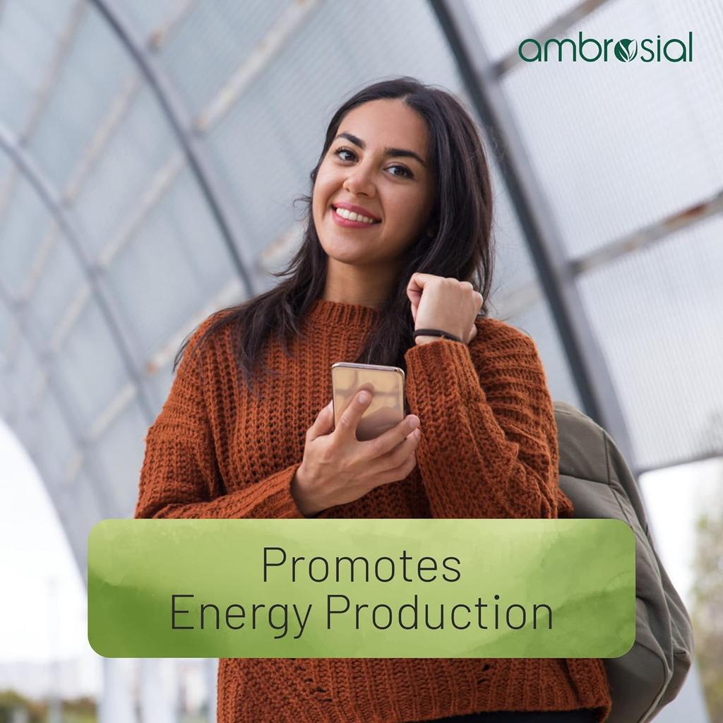 AMBROSIAL Комплекс витаминов группы B с холином высокой эффективности для поддержки формирования красных кровяных телец и выработки энергии (Упаковка 2-120 капсул)