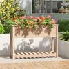 VidaXL Planter with Shelf 111.5x34.5x81 Cm Solid Pine Wood 823766