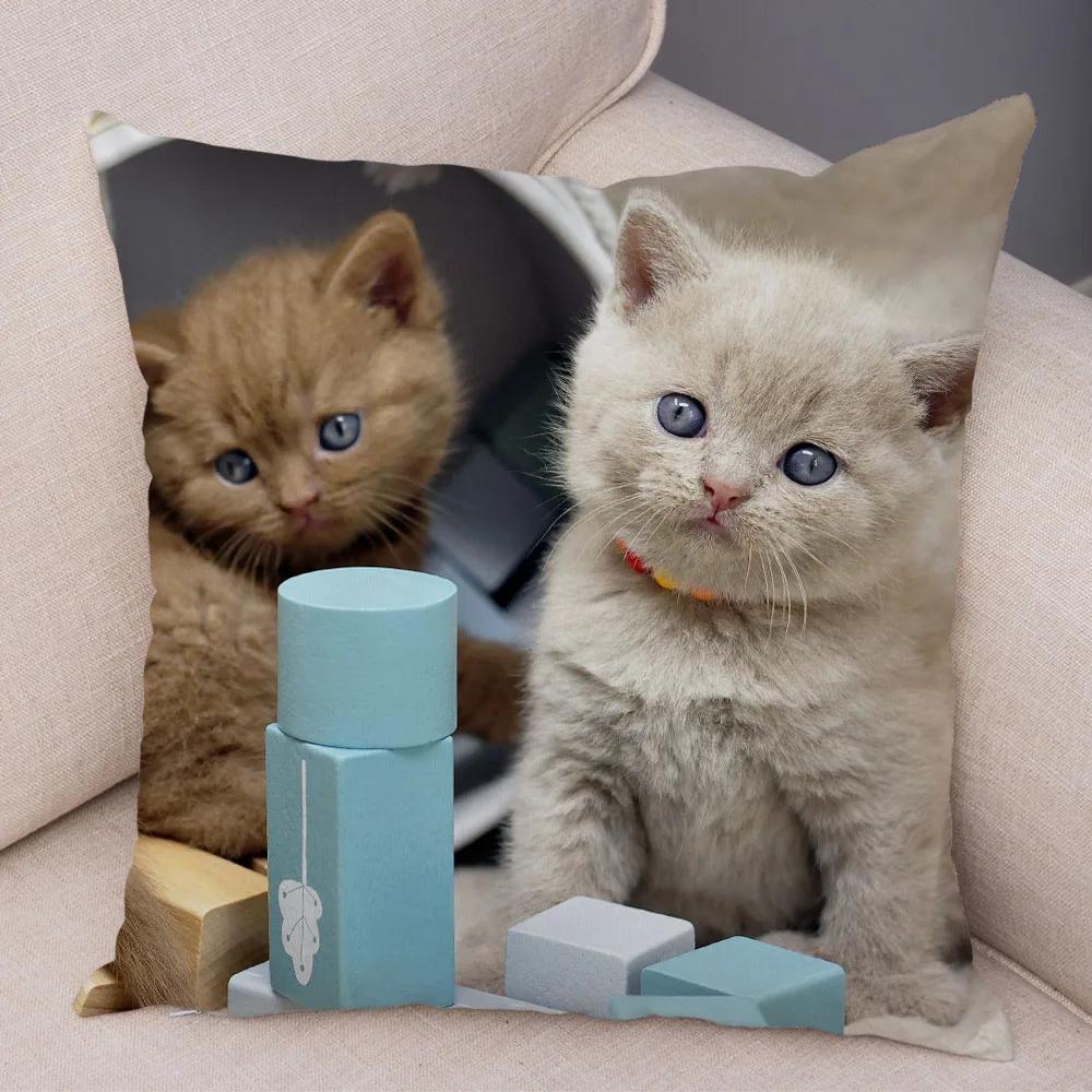 Русская голубая Британская короткошерстная Наволочка Декор Милый кот Домашнее животное Животное Наволочка Мягкий плюшевый Чехол для подушки для машины Дивана Дома