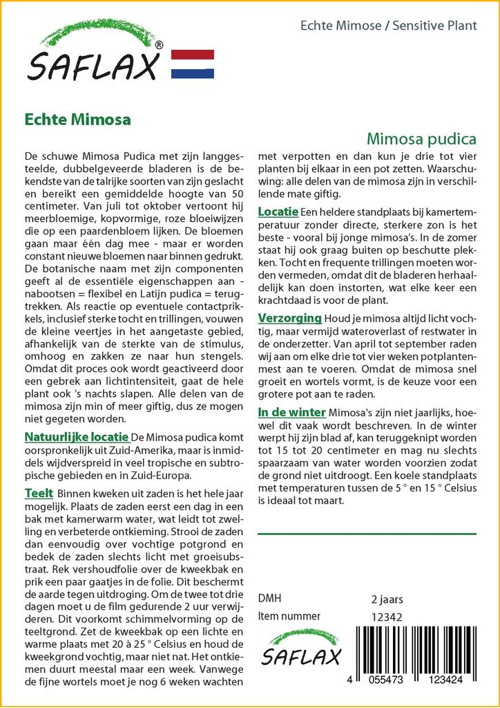 SAFLAX Sensitive Plant - 70 семян - С горшечным субстратом для лучшего выращивания - Mimosa pudica