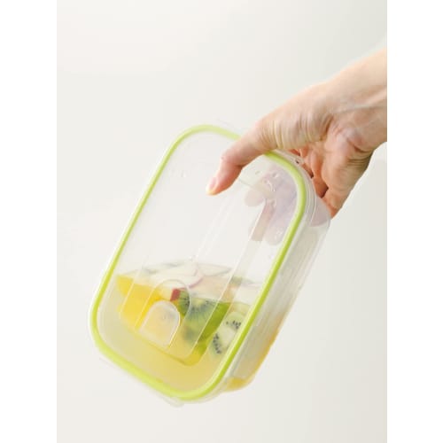 Iwasaki Industries Smart Flap & Rocks Storage Containers, Square, Large, Set of 2, Green, 900ml
