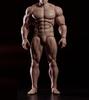 Toy Hobby Action Figure ADAM AD01 Cartoon Style Muscle Male Body [TOYBARJAPAN] 1/12 Man's
