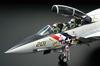 TAMIYA Masterpiece Series Grumman Tomcat Plastic Model 61114 1/48 No.114 F-14A