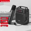 Портативный Bluetooth-усилитель Newman MS19 для ношения на поясе с двумя беспроводными микрофонами (Китайская версия)