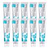 Yakult Toothpaste APACOAT SE 120g Set of 10 Medicated Periodontal Disease Whitening Toothpaste Cavities Bad Breath Prevention APACOAT