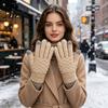 Зимние перчатки с подкладкой из арктического бархата, 1 пара, теплые, флисовые, для женщин и мужчин, перчатки для холодной погоды, термозащитные, утолщенные, вязаные, сенсорные, для вождения, езды на велосипеде, на открытом воздухе