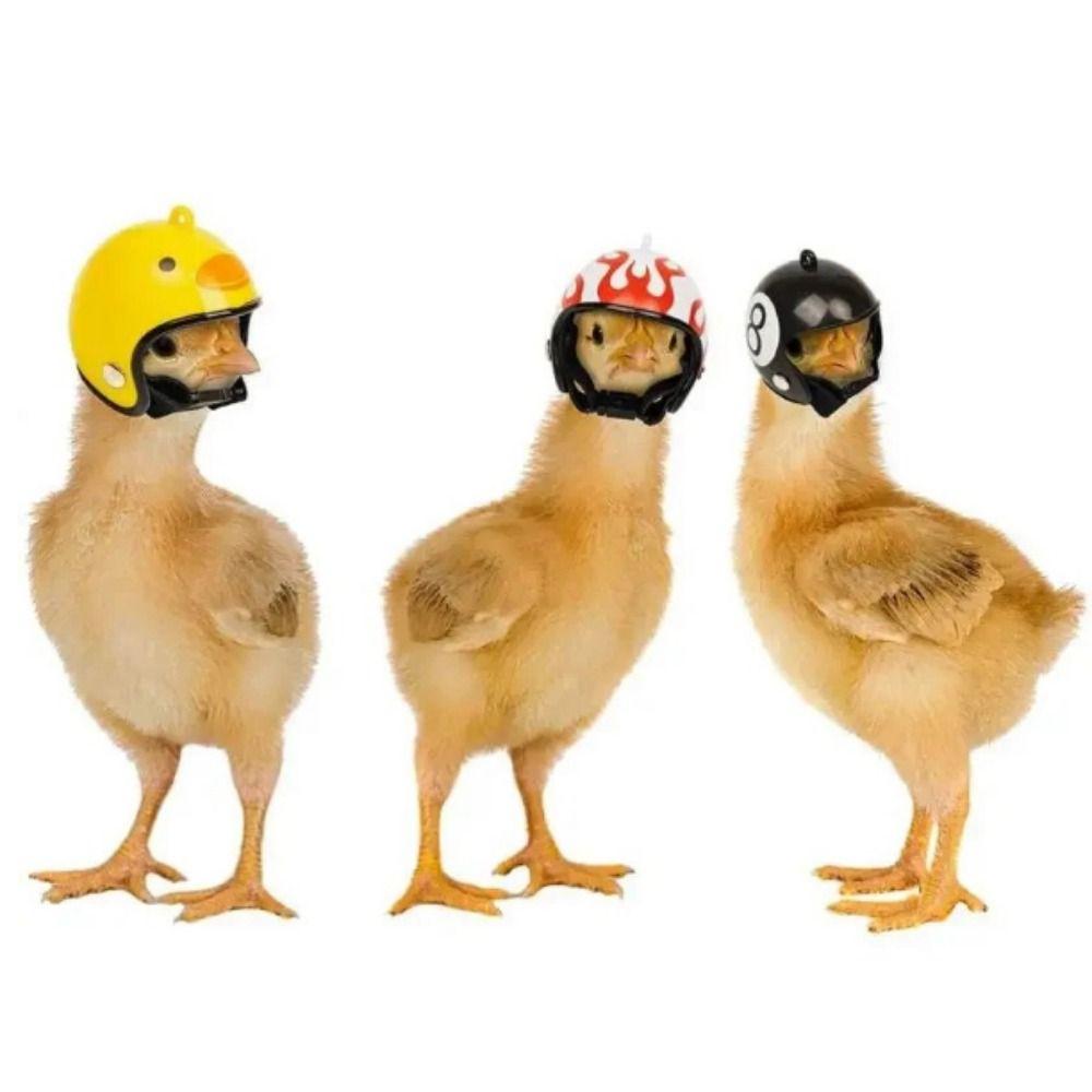 Cartoon Bird Protect Cap Plastic Pet Protective Headgear Small Pet Hard Hat Rainy Day
