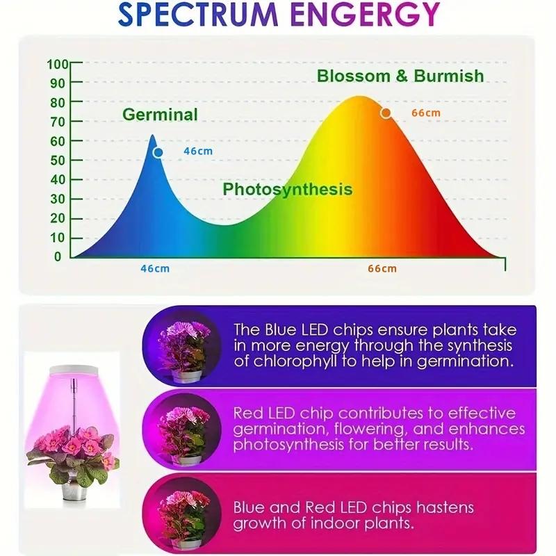 Светодиодный светильник для выращивания растений в комнатных условиях Angel Ring, 2/4/8 ч, таймер включения/выключения USB 5 В, выдвижная высота, полный спектр, имитация солнечного света для растений