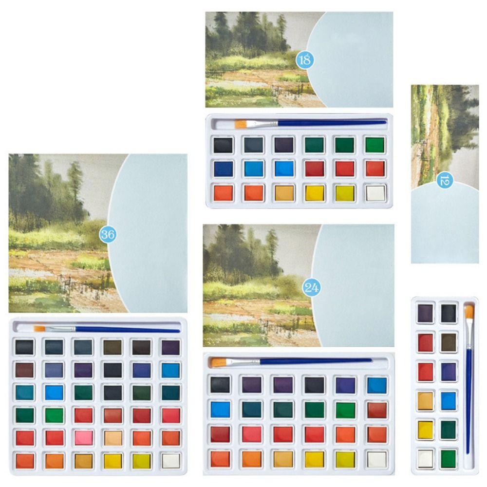 Professional Pigments Watercolor Paint Set Solid Watercolor Artist Watercolor Paint Art Drawing